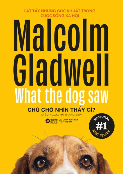 Tóm tắt sách Chú Chó Nhìn Thấy Gì?